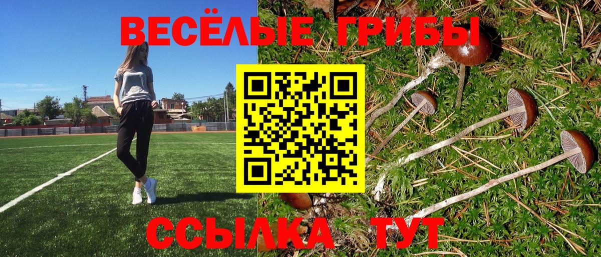 Черкесск  Псилоцибиновые грибы прущие грибы  Вход с VPN  Псилоцибиновые грибы прущие грибы 
