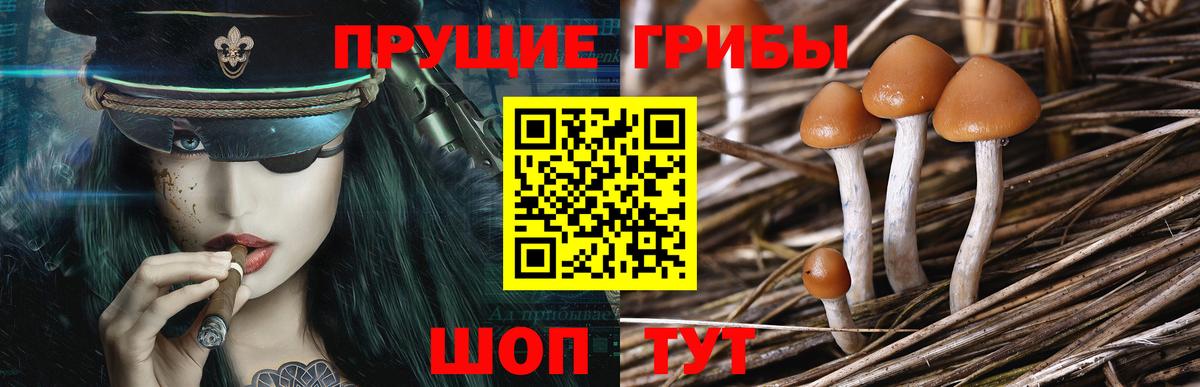 Галлюциногенные грибы GOLDEN TEACHER Черкесск